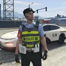 战争武装运输-真实警察模拟器