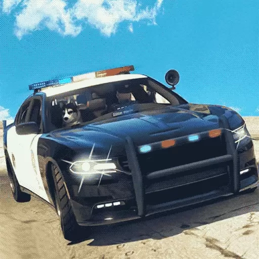 车辆驾驶模拟器-真实警车游戏