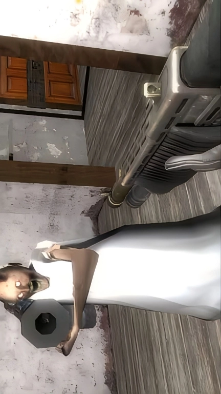 恐怖大逃亡-老奶大战孙子