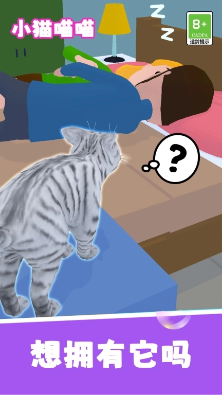 小猫喵喵