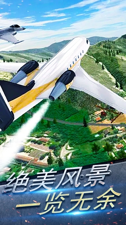 模拟飞行驾驶