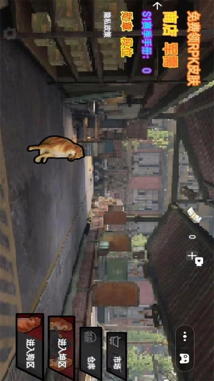 狗狗逃生