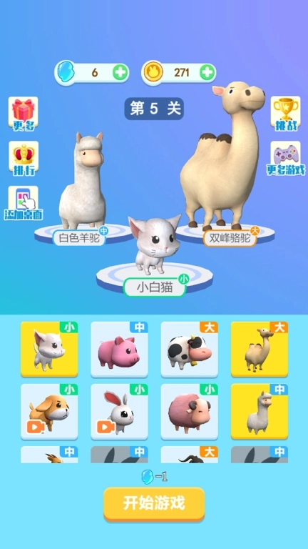 动物派对