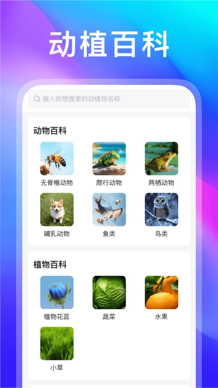 动物世界-动植物百科全书