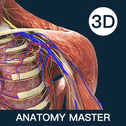 解剖大师-精细好用综合性3D解剖
