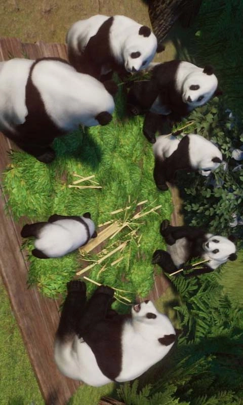 宠物成精啦