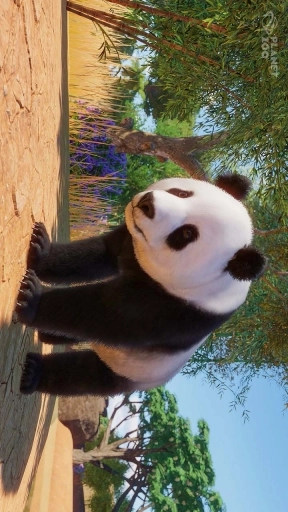 宠物成精啦