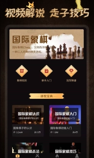 国际象棋学堂-棋院chess