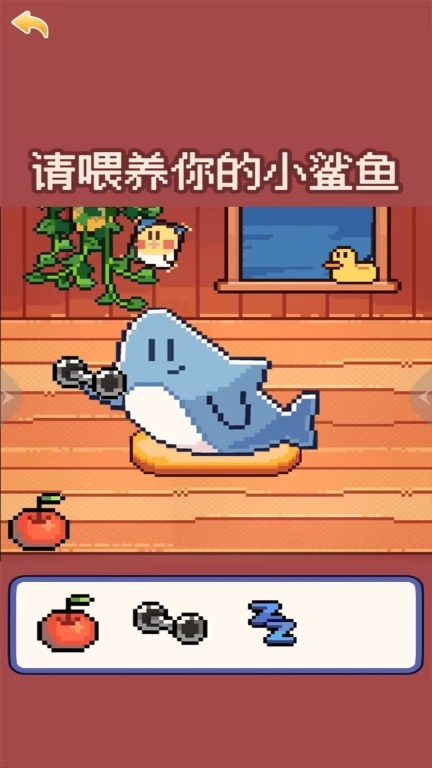 奇怪的动物-我的小鲨鱼