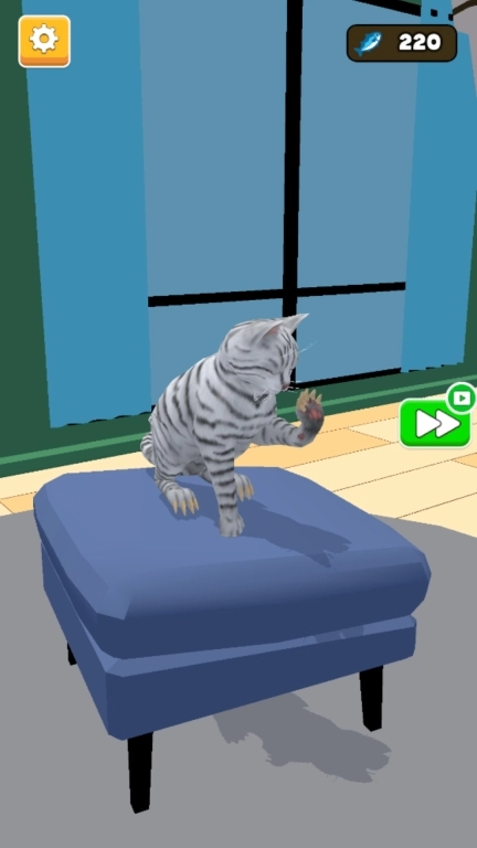 猫咪想恋爱