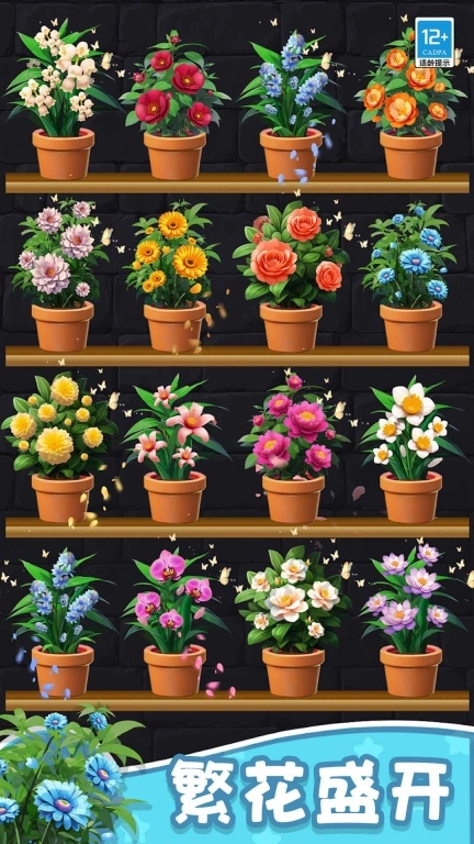 花儿朵朵消