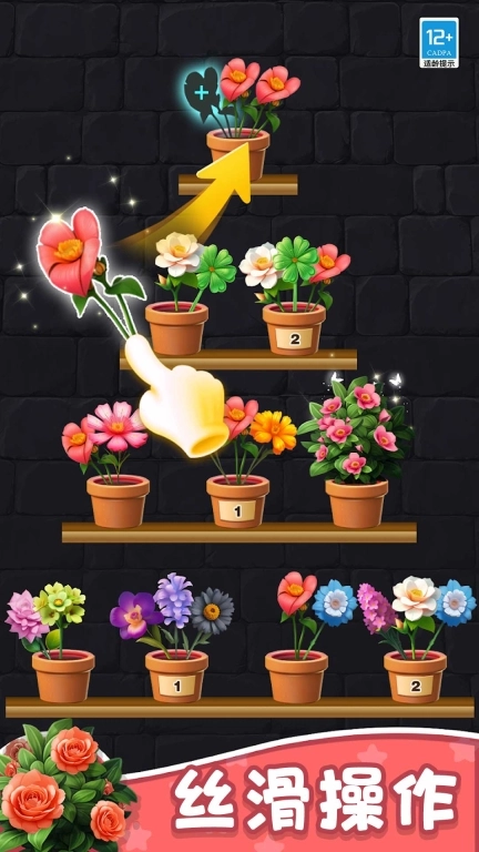 花儿朵朵消