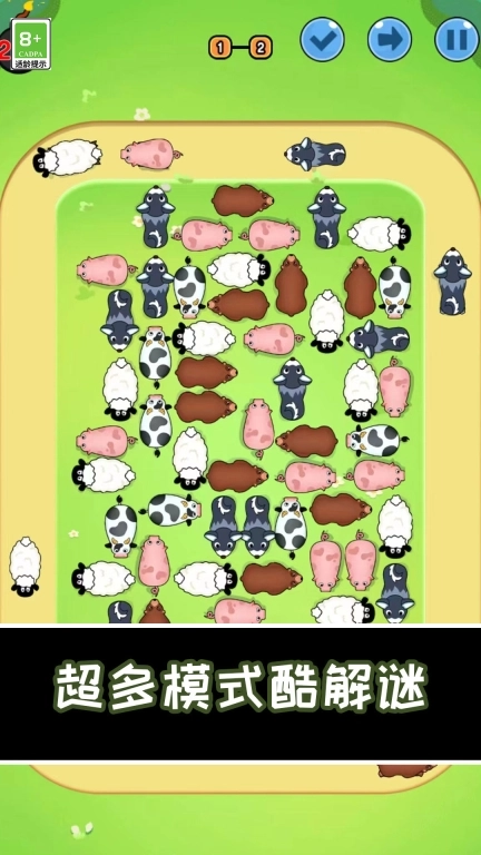 小猪快跑