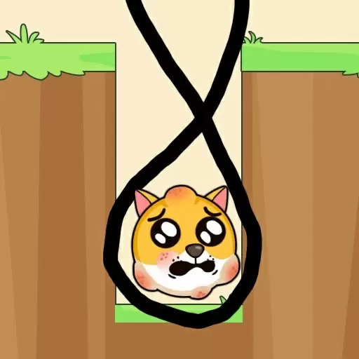 救救狗蛋