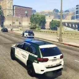 警车狂飙赛-真实警车驾驶