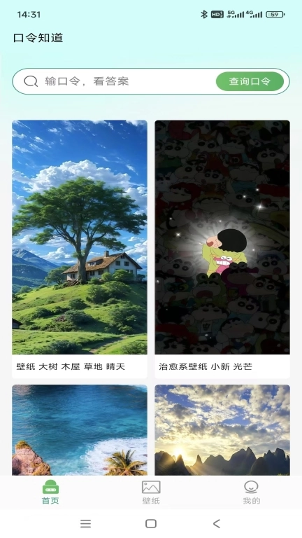 口令知道