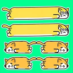 饥饿猫