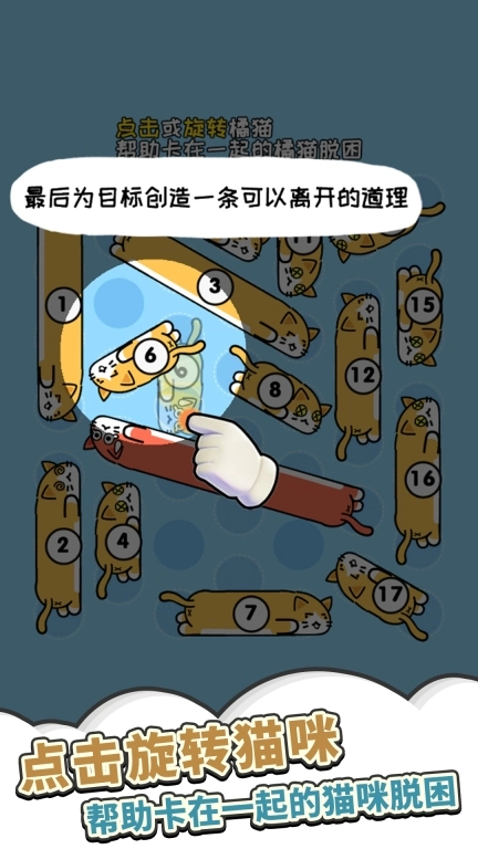 饥饿猫