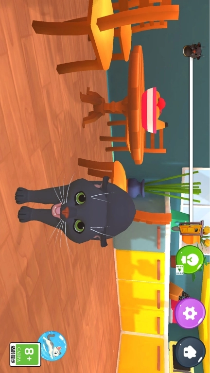 小猫闹翻天