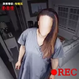 监控识别伪人