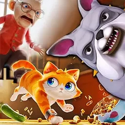 奶奶贴心小猫-我是猫