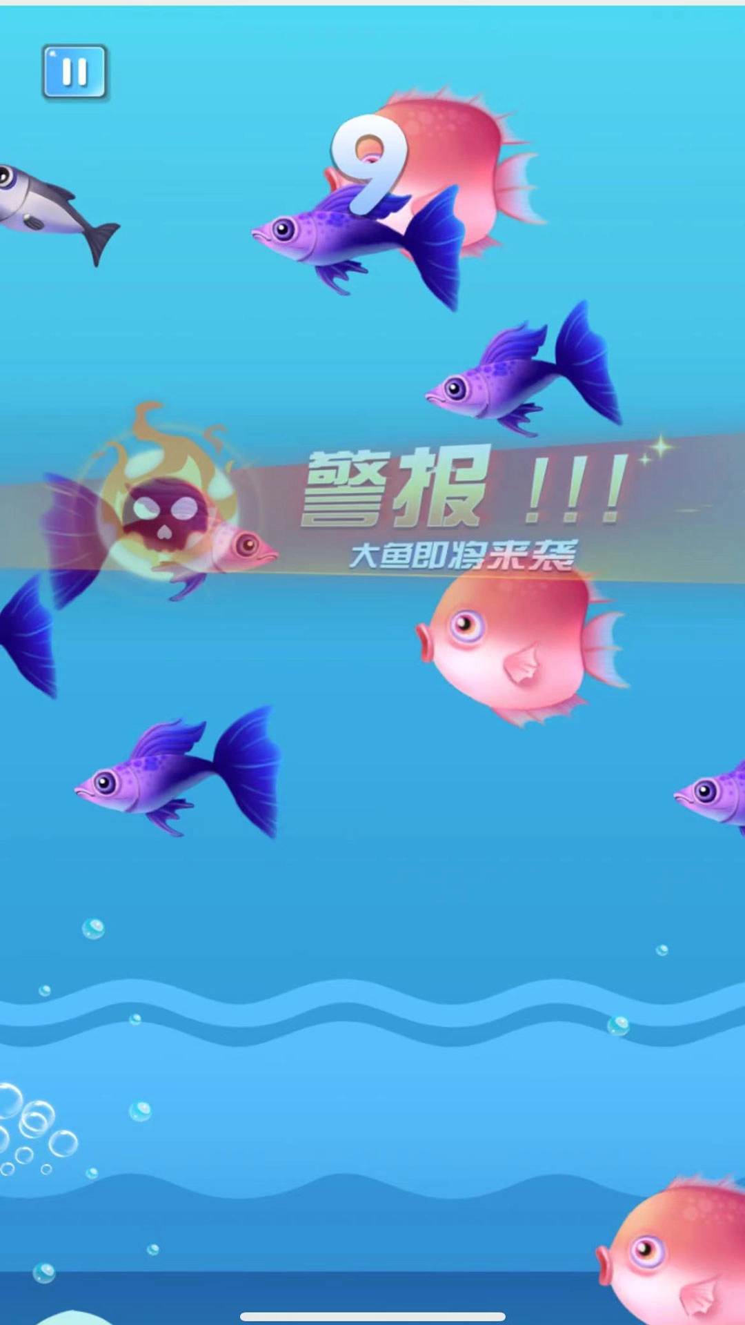 海洋大追杀