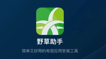 野草助手