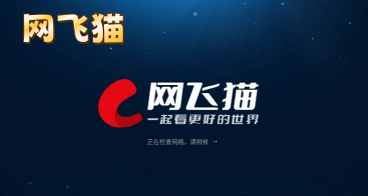 网飞猫