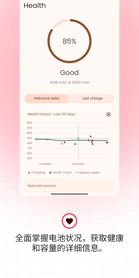 BatteryGuru官网版截图4