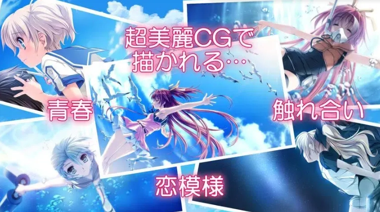 海豚恋人日服最新版下载(DolphinDivers)