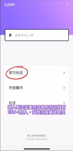 lysn安装下载