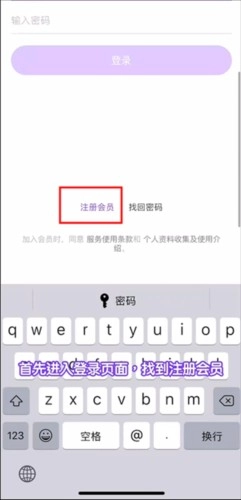 lysn安装下载