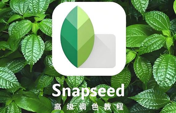 snapseed手机修图-snapseed官方正版/免费版/官网版-snapseed系列下载大全