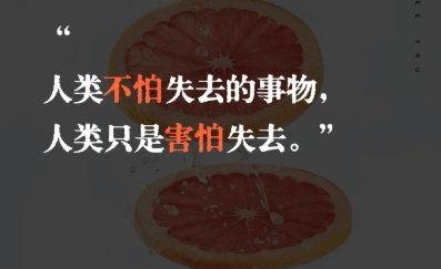 柚子阅读app下载大全