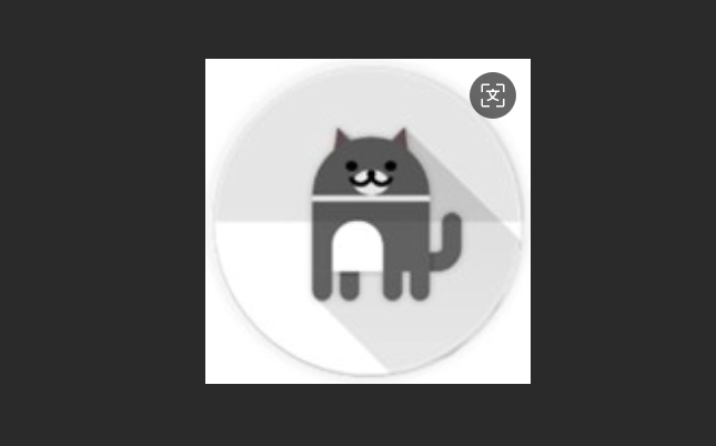 皮皮猫漫画版本大全