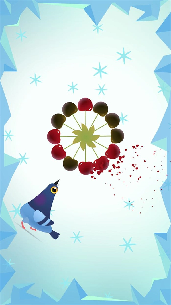 Pigeon Pop3