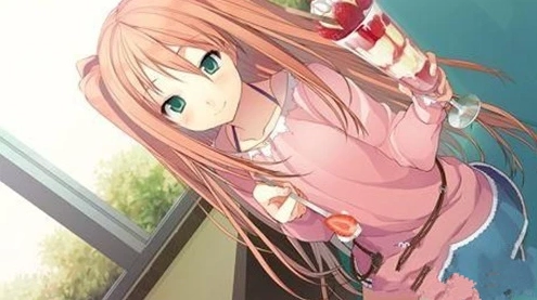 恋爱与选举与巧克力最新版