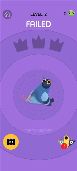 疯狂的鸽子游戏2