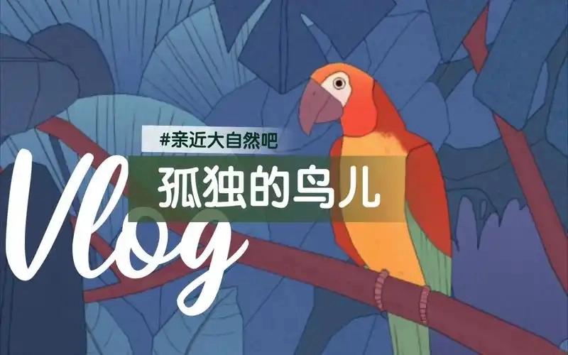 孤独的鸟儿