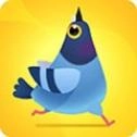 疯狂的鸽子pigeonpop官网版-疯狂的鸽子最新版-疯狂的鸽子正版-疯狂的鸽子游戏合集