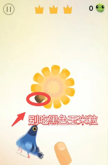 pigeonpop游戏下载最新版