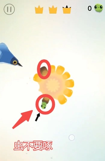 pigeonpop游戏下载最新版