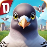 pigeonpop游戏入口