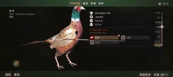 怎么玩截图5