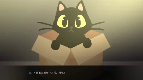 别带这只猫回家手机版下载