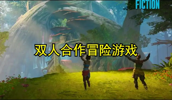 双人合作冒险游戏