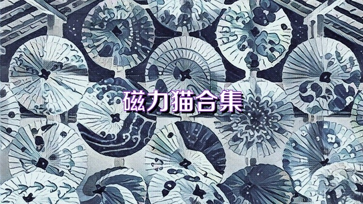 磁力猫搜索引擎所有版本