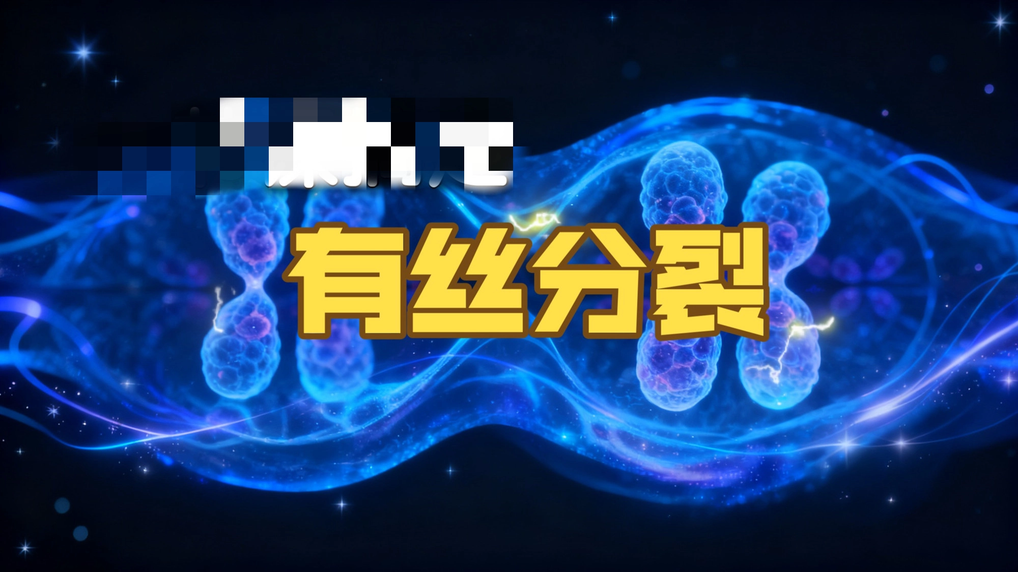 有丝分裂