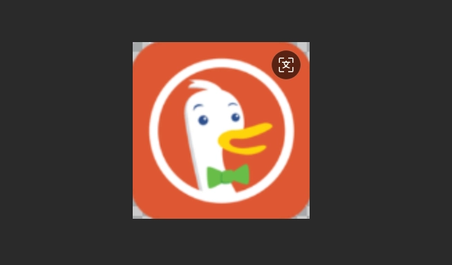 DuckDuckGo浏览器中文版-DuckDuckGo浏览器最新版-DuckDuckGo浏览器手机版下载