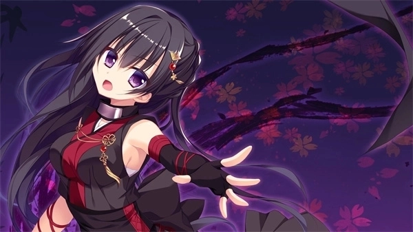 忍者少女与都市妖团冷狐汉化版下载